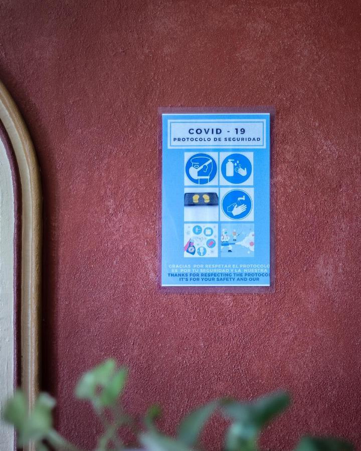 Casa Del Sotano Hotel Oaxaca Bagian luar foto