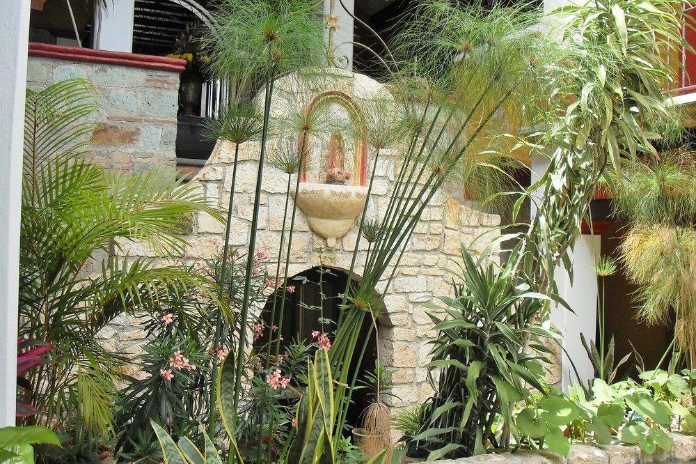 Casa Del Sotano Hotel Oaxaca Bagian luar foto